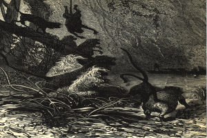 Schwarze und weiße Illustration einer Gruppe von Löwen in einer Dschungellandschaft mit üppiger Vegetation und Bäumen, die den Text 'Der Löwenkönig' am unteren Rand zeigt.