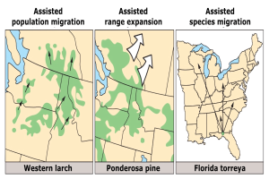 Eine Karte der Vereinigten Staaten, die verschiedene Arten der Bevölkerungswanderung hervorhebt, begleitet von beschreibendem Text.