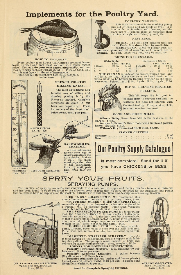 Eine alte Werbung für einen Geflügelhof, mit Text und bunten Bildern verschiedener Geflügelprodukte sowie Details zu Zutaten, Preisen und Anwendungsanweisungen in fetter Schrift.
