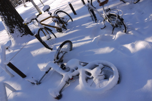 Eine Reihe von Fahrrädern, teilweise von Schnee bedeckt, steht neben einem Baumstamm und der Straße.