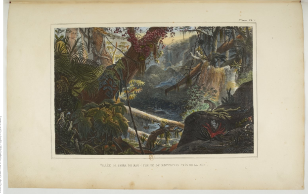 Ein aufgeschlagenes Buch mit einer Malerei einer üppigen Dschungelszene mit Bäumen, Pflanzen, Felsen und einem Wasserfall, mit Text unten.