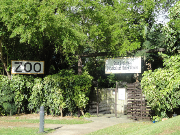 Einfahrt zu einem Zoo mit einem "Zoo"-Schild, umgeben von saftigem Gras, hohen Bäumen, einem hellblauen Himmel, einem Pfahl im Vordergrund und einem Maschendrahtzaun im Hintergrund.