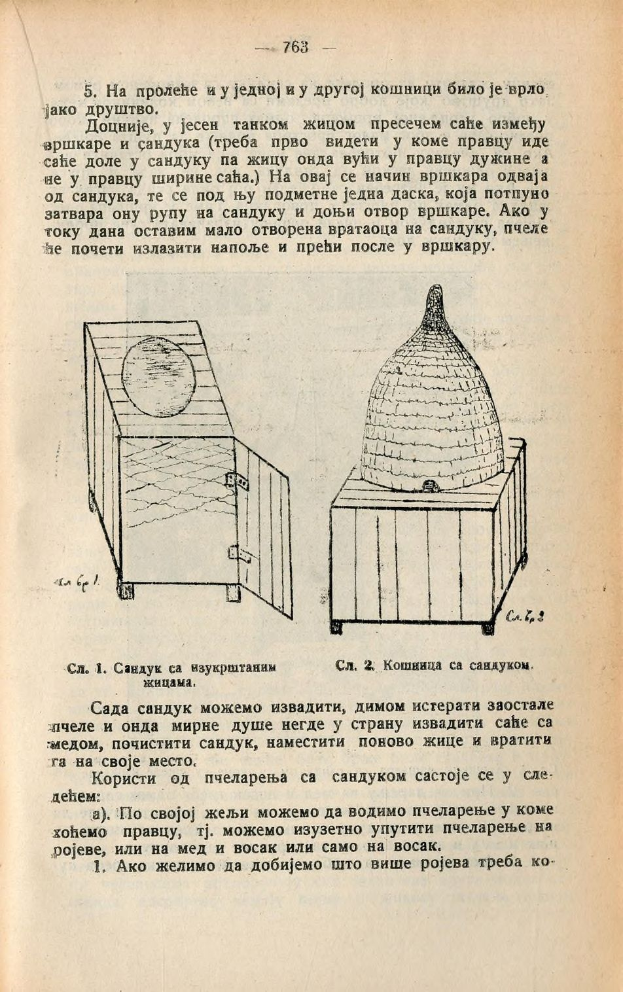 Ein aufgeschlagenes Buch mit einer Zeichnung eines Bienenstocks auf dem Cover, das Text und Bilder über Bienenstöcke enthält.