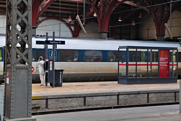 Ein Zug fährt auf ein Bahnsteig mit einer Person in der Nähe, einem Müllcontainer, mehreren Pfosten, Informationsschildern und Deckenleuchten.