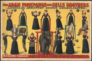 Plakat für Adam Forepaugh und Sells Brothers Circus mit Performern auf Hockern und einem Elefanten in der Mitte sowie Werbetext.