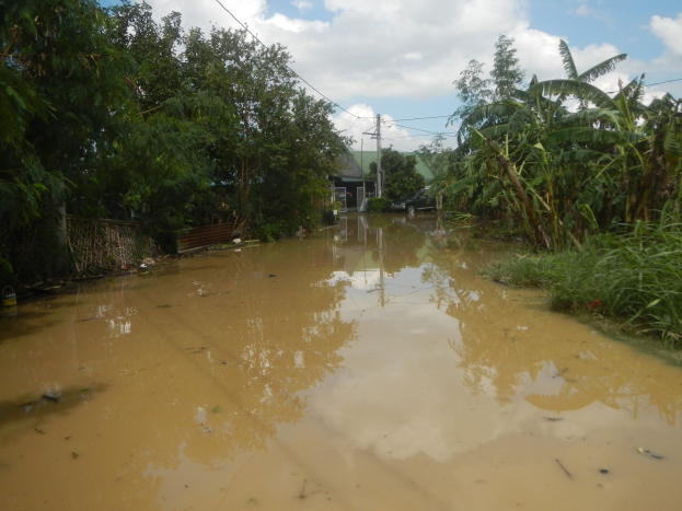 Eine überflutete ländliche Straße mit Wasser, das die Straße bedeckt, umgeben von Pflanzen und Bäumen, einem geparkten Auto auf der rechten Seite und beschädigten Häusern im Hintergrund unter einem bewölkten Himmel.