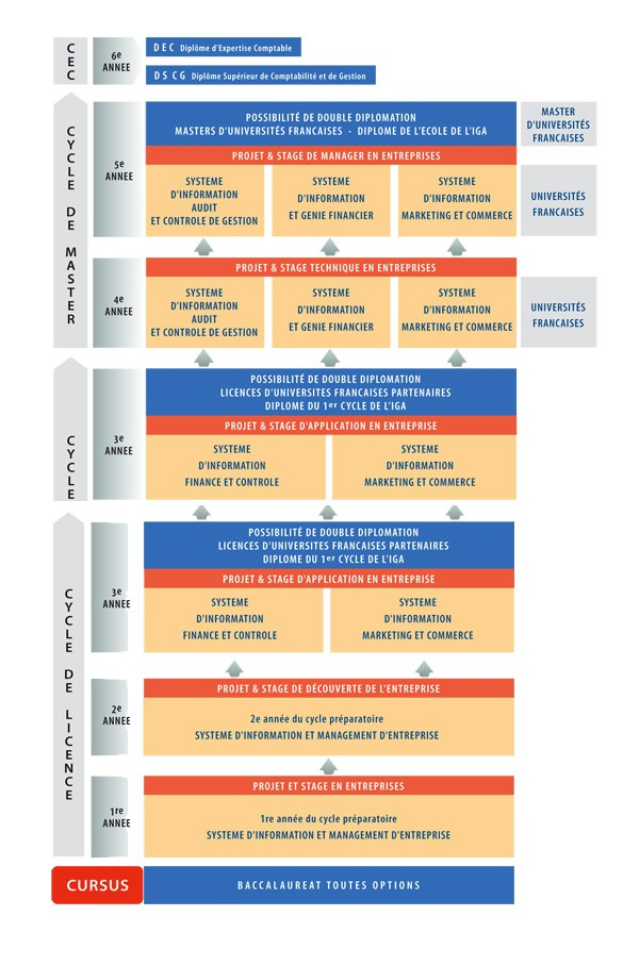 Diagramm, das die organisatorische Struktur eines Unternehmens mit interconnected boxes darstellt, die die verschiedenen Phasen des Geschäfts growths and developments darstellen, begleitet von Text, der die Rollen und Verantwortlichkeiten beschreibt.