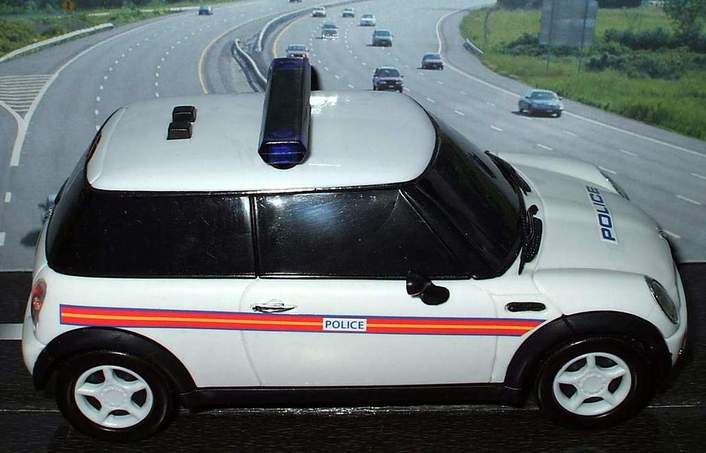 Ein weißer Polizeiwagen steht im Vordergrund mit mehreren Autos auf der Straße dahinter, umgeben von Gras und Bäumen auf beiden Seiten, in einer ländlichen Umgebung.