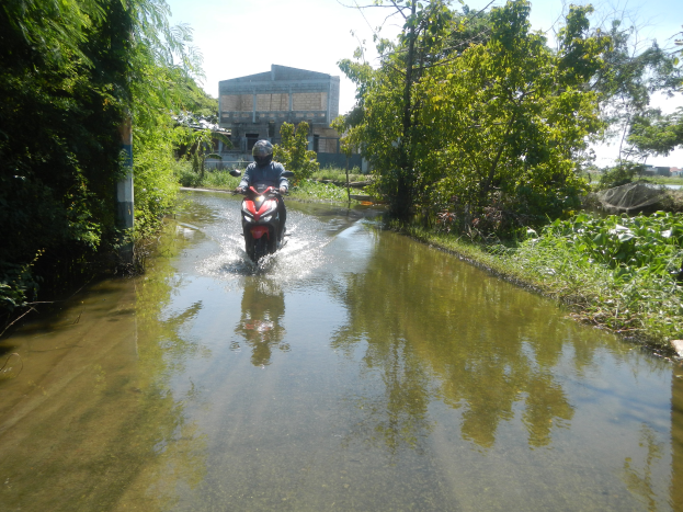 Eine Person auf einem Motorrad fährt durch eine Überflutete Straße, trägt einen Helm, mit Bäumen auf beiden Seiten und einem Gebäude im Hintergrund.