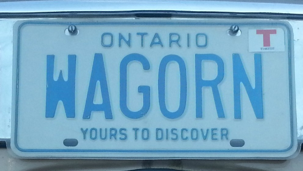 Ein weißes Kennzeichen mit schwarzer Schrift, die 'Wagorn' lautet, an einem Auto.