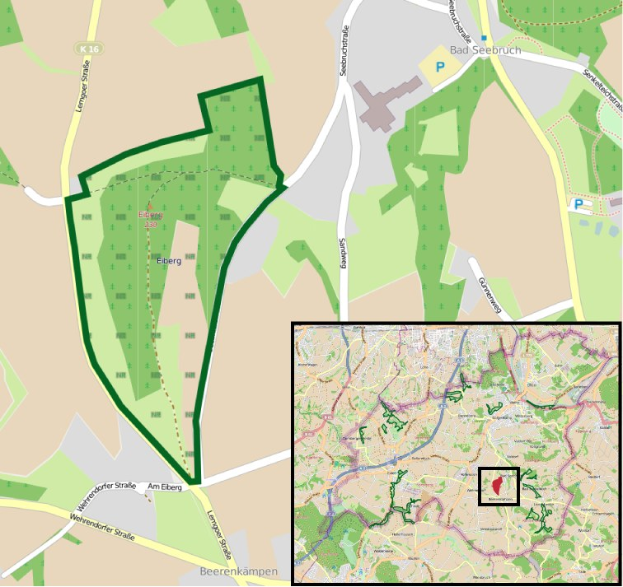Karte einer Stadt mit einem zentralen grünen Bereich, der als geplanter Entwicklungsstandort markiert ist, umgeben von Straßen, Gebäuden und Sehenswürdigkeiten.