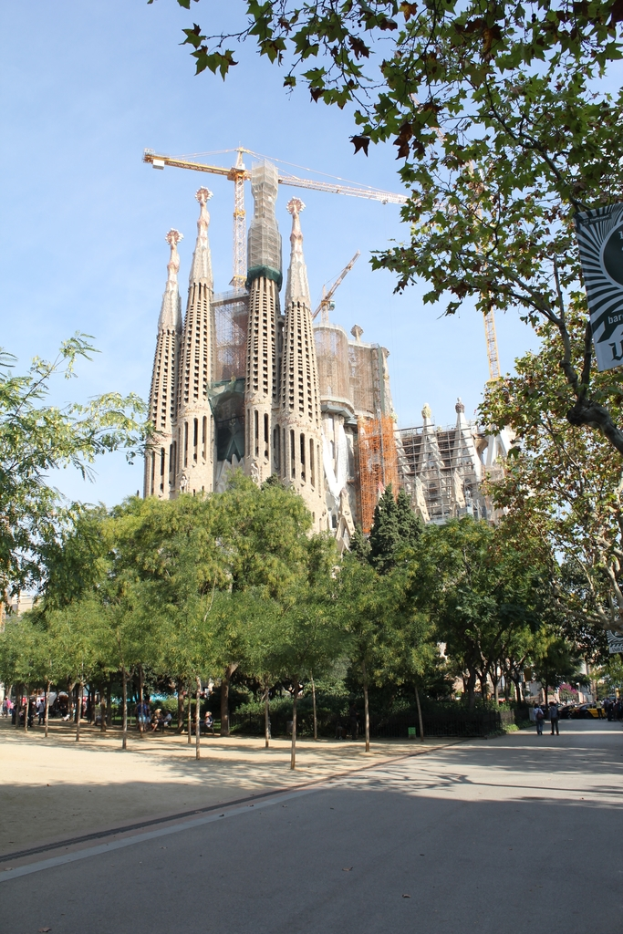 Großer Baustelle mit hohem Kran und teilweise gebautem Gebäude umgeben von vielen Bäumen.