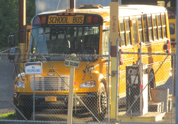 Mehrere Busse fahren auf einer Straße im Hintergrund, mit einem Zaun, Pfählen und Schildern im Vordergrund und einem Baum und Gras unten.