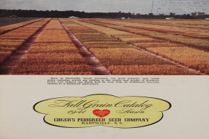 Plakat für den Coker's Pedigree Seed Company-Frühjahrskatalog 1941, mit Feldern im Vordergrund, Bäumen im Hintergrund und einem Himmel darüber.