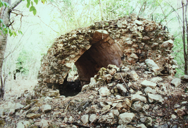 Ein kleiner Tunnel im Wald, umgeben von Felsen und Bäumen, mit einem kleinen Eingang am Ende und einer üppigen Baumkulisse.