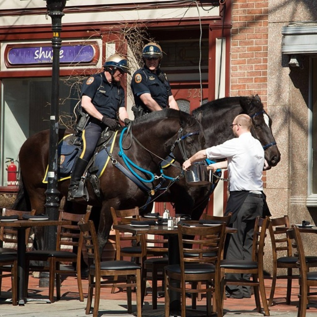 Zwei Personen auf einem Pferd sitzend, umgeben von mehreren Stühlen, mit einer Person, die das Pferd füttert.