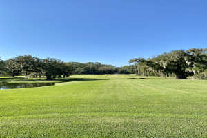 Ein Golfplatz mit saftig grünem Rasen, einem Teich auf der linken Seite, Bäumen im Hintergrund und einem klaren blauen Himmel.