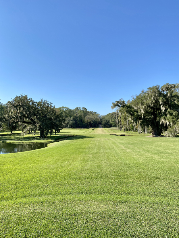 Ein Golfplatz mit saftig grünem Rasen, einem Teich auf der linken Seite, Bäumen im Hintergrund und einem klaren blauen Himmel.