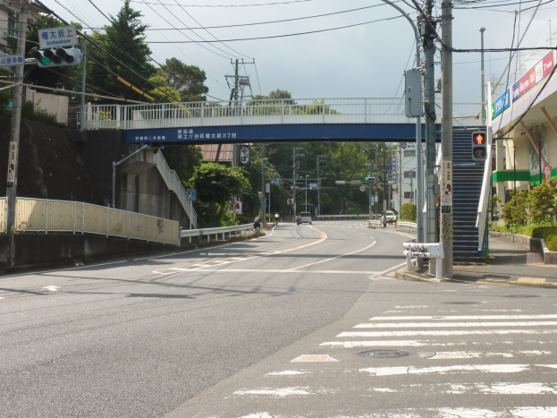Stadtstraße mit einer Fußgängerbrücke darüber, Fahrzeuge auf der Straße, Strommasten mit Drähten, Verkehrsampeln, Schilder, Gebäude, Bäume, Pflanzen und Himmel im Hintergrund.
