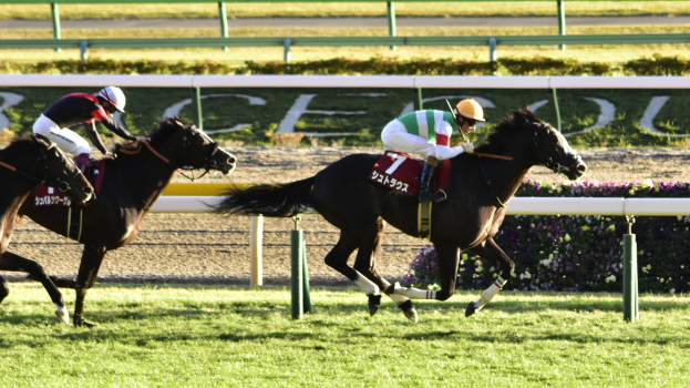 Zwei Jockeys in Helmen treiben Pferde auf einer von Grün umgebenen Bahn, mit einem Geländer und einer Tafel im Hintergrund.