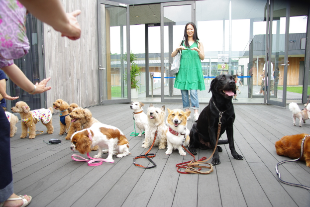 Eine Gruppe von Händen verschiedener Farben ist auf einer holzernen Oberfläche in der Nähe einer Glasdoor versammelt, mit einer Pflanze, Gras, Gebäuden und einem weißen Himmel im Hintergrund, sowie Menschen in Kleidung, einer Handtasche und einem Gerät.