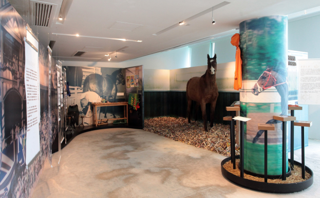 Ein Museumsausstellungsstück mit einem Pferd auf einem Podest, umgeben von Plakaten an den Wänden, einem Tisch mit Gegenständen darauf und Deckenbeleuchtung.
