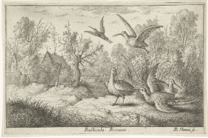 Ein bewaldetes Gebiet mit Vögeln, die zwischen Bäumen, Pflanzen, Gras und Häusern fliegen, mit Text unten.
