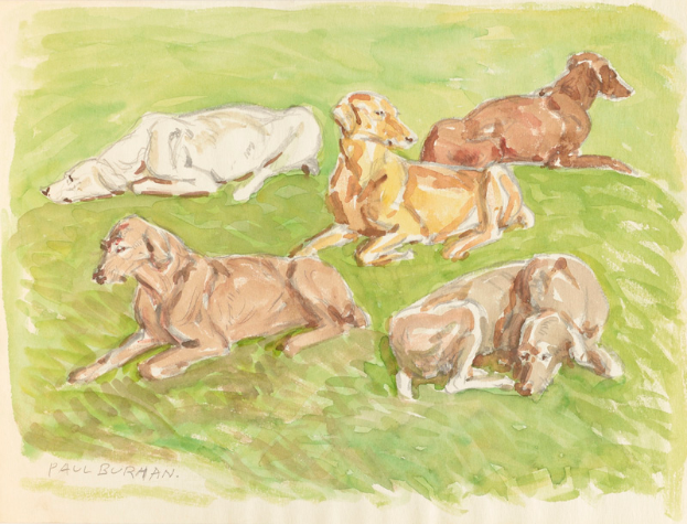 Ein realistische Malerei von mehreren Dackeln, die auf einem leuchtend grünen Feld unter einer sonnigen Sonne liegen.