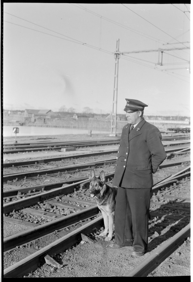 Schwarzes und weißes Bild eines uniformierten Mannes in einer Mütze, der neben einem Hund auf einem Bahngleis steht, mit Strommasten und -drähten im Hintergrund, Bäumen und einem klaren Himmel.