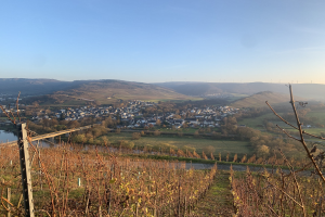 Eine malerische Aussicht auf das Rheintal von einem Hügel aus, mit grünem Laub, Häusern und einer Brücke, die den Fluss überspannt, vor einem blauen Himmel und welligen Hügeln.